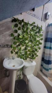 Koupelna v ubytování Casa Maya Vibes + 4 fotografie