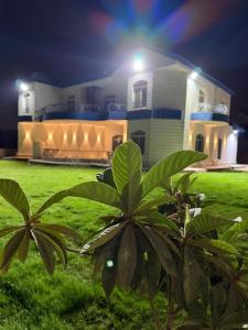 Almajidy Villa في القاهرة: منزل في الليل مع ساحة خضراء مليئة بالنباتات