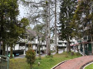 Vườn quanh Copthorne Hilltop Resort, Sunrise n Mountain view at Cameron Highlands