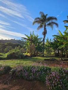 a garden with purple flowers and palm trees at Casa de campo in Extrema