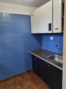 a kitchen with a sink and a blue wall at Duplex en mar de ajo Olivia in Mar de Ajó +1 photo