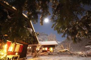 Gallery image of Chalet Gletscherfloh in Grindelwald +25 photos