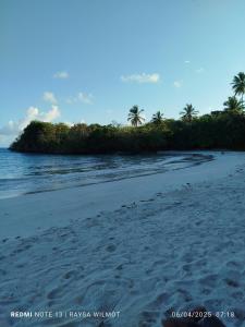 Naturlandskabet i nærheden af lejligheden