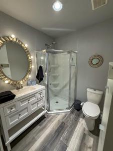 Modern Tampa studio full Kitchen & great location في تامبا: حمام مع دش ومرحاض ومرآة