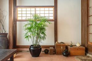 Φωτογραφία από το άλμπουμ του ichi Mimitsu σε Hyuga +9 φωτογραφίες