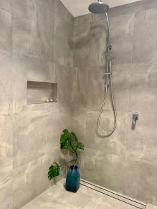 Ванная комната в Byron Bay Hinterland Sanctuary