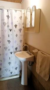 a bathroom with a sink and a shower curtain at Cabañas Las Pasionarias in Tanti