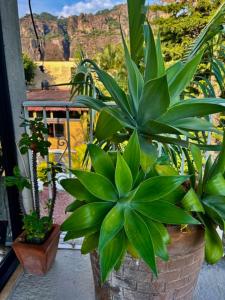 Φωτογραφία από το άλμπουμ του El Telòn σε Tepoztlán