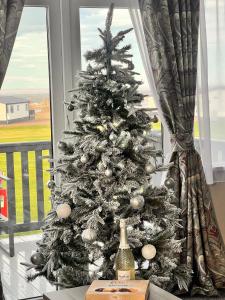 a christmas tree sitting on a table next to a window at Lodge 17 St Andrews in St. Andrews