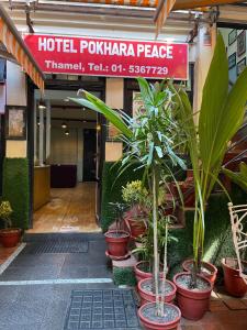 a hotel pokha palace with potted plants in the entrance at Hotel Pokhara Peace in Kathmandu