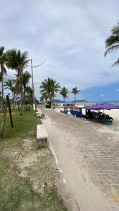 enseada hostel في غوارويا: شاطئ به مقاعد وأشجار نخيل وقطار