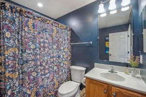 a bathroom with a toilet and a shower curtain at Trailblazer Lodge - Upscale, hot tub, trail, game room, wifi, fire pit, bar, pool table, king bed, view, pet friendly in Berkeley Springs +61 photos