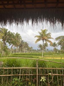 a field with palm trees and a straw hut at Greenfield-Lombok in Tetebatu