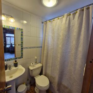 a bathroom with a toilet and a sink and a shower curtain at Refugio de montaña OM in Santiago