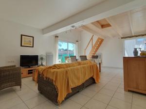 TV a/nebo společenská místnost v ubytování Villa spacieuse proche plage, 5 pers, jardin privatif - FR-1-476-110