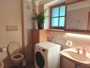 Apartment Panorama Val di Non في San Felice: حمام مع مرحاض ومغسلة وغسالة