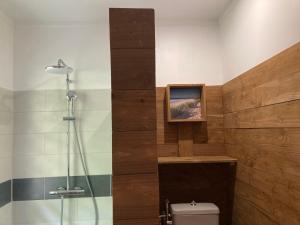 a bathroom with a shower with a toilet and a television at Fare Panaipo in Uturoa