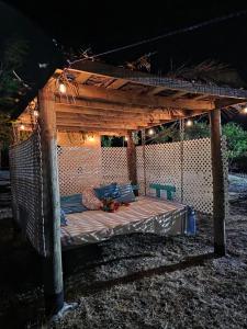 Φωτογραφία από το άλμπουμ του Bird Bus Chile - Descanso- Aventura - Comodidad σε Chillan