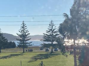 a person riding a bike in a field with trees at Beach front apartment in Batemans Bay