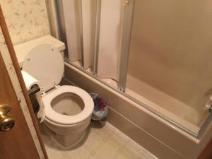 a small bathroom with a toilet and a shower at spacious one Bedroom mobil home in Harlingen