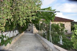 Zahrada ubytování Zaros Traditional House + 5 fotografií