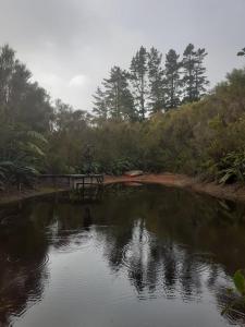 Billede fra billedgalleriet på Katikara Eco-Community - Rosewood accommodations i New Plymouth