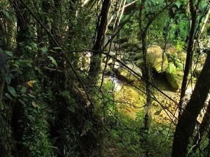 Billede fra billedgalleriet på Katikara Eco-Community - Rosewood accommodations i New Plymouth