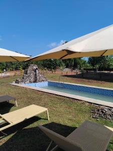 una piscina con una fuente y dos sillas y una sombrilla en 360 Agonda, en Agonda