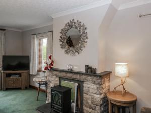 een woonkamer met een open haard en een spiegel bij 1 Gilpin House in Kendal