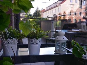 Fotografia z galérie ubytovania Apartamenty Szczęśliwe Sny v destinácii Olsztyn