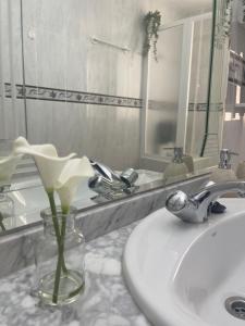 un lavandino in bagno con vaso e fiore di Apartamento Laurencia a Fuente Obejuna Altre 19 foto