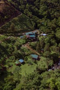 Příroda nedaleko rezortu