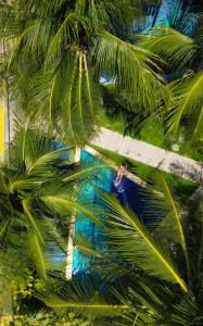 a man is standing between two palm trees at Pousada Unaí in Porto De Galinhas