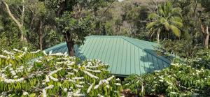 a green building with a green roof and some flowers at Coffee Courtyard in Kurchi