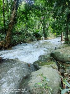 Φωτογραφία από το άλμπουμ του ติดธารโฮมสเตย์ - Cabin by The stream σε Ban Nong Chaeng