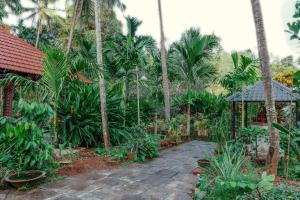 un jardin avec des palmiers et une passerelle dans l'établissement Happy Haven Farmstay, à Mangalore