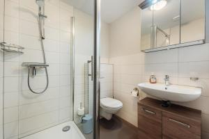 a bathroom with a toilet and a sink and a shower at Fünf Harzer Berge Oderberg in Sankt Andreasberg +21 photos
