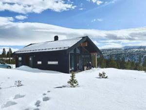 a black house in the snow in the mountains at 6 person holiday home in Sollia-By Traum in Brenn