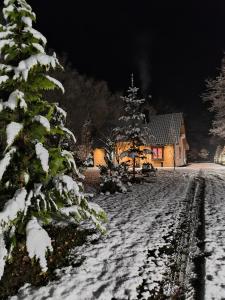 Το Dębowiec 53, dom z ogrodem na wyłączność, τον χειμώνα