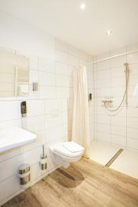 a bathroom with a toilet and a shower and a sink at Landhaus Nütschau in Bad Oldesloe