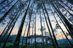 Peisaj natural din apropierea acestui hotel