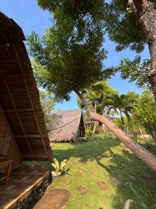 a tree that is leaning against a house at 6227 Guesthouse in San Juan