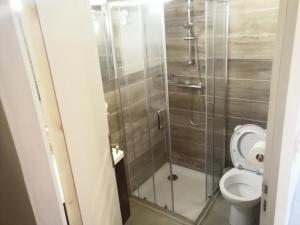 a bathroom with a toilet and a glass shower at Maisonnette meublée à la campagne in Ernée