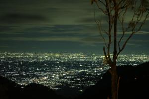 a city at night with a tree in the foreground at Moksha at Infinity Valley in Kotagiri