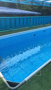 a close up of a blue swimming pool at Indah Desa Homestay in Mantin +13 photos