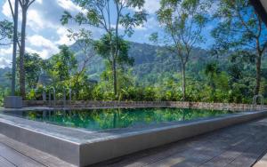 Φωτογραφία από το άλμπουμ του Rain Drops Wellness Villa σε Deniyaya