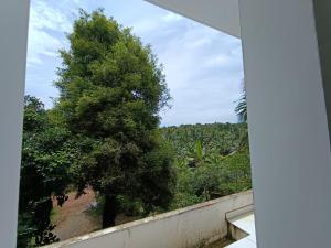 a view of a tree from the balcony of a house at Aathira Agri Homes in Trichūr