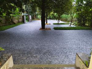 een geplaveid pad met een boom in het midden bij Aathira Agri Homes in Trichūr +12 foto's