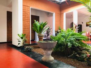 Zahrada ubytování Niskalanka Villa