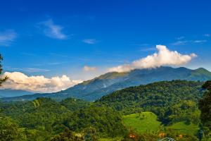 Un paisaje natural cerca del resort